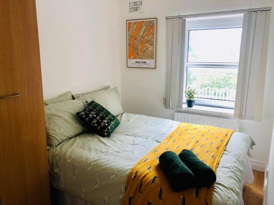 ベルファスト Cosy House, Lisburn Roadヴィラ エクステリア 写真