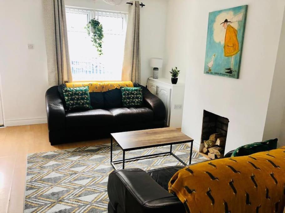 ベルファスト Cosy House, Lisburn Roadヴィラ エクステリア 写真