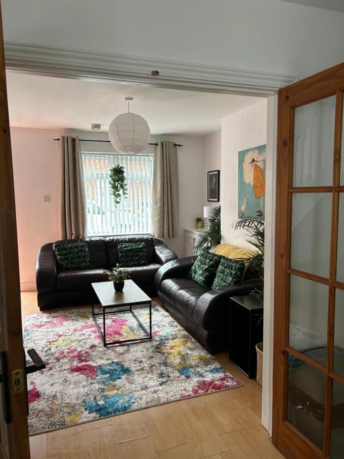 ベルファスト Cosy House, Lisburn Roadヴィラ エクステリア 写真